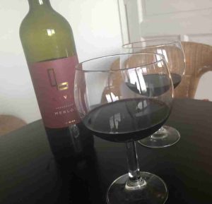 auswandern ungarn - ein Glas ungarischen Wein im Gästezimmer