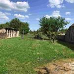 auswandern ungarn - guenstiges haus in suedungarn - grundstück