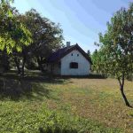auswandern-ungarn - historisches lehmhaus und garten