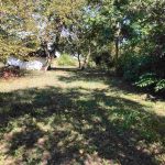 auswandern-ungarn - garten und historisches lehmhaus mit schilfdach