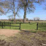 auswandern ungarn - professionell saniertes lehmhaus - 4.500 qm grundstück