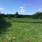 auswandern-ungarn haus kroatischer stil in südungarn-grundstück