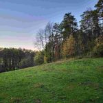 auswandern-ungarn natur naehe haus im komitat zala