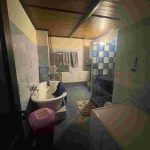 auswandern ungarn - suedungarn - zwei haeuser - grosses grundstueck - badewanne