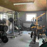 auswandern ungarn - suedungarn - zwei haeuser - grosses grundstueck - zweites haus - fitnessstudio