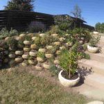 auswandern ungarn - immobilie naehe suedufer plattensee - angelegter garten