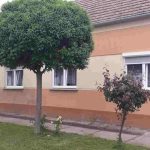 auswandern-ungarn-haus-gemuesegarten-nebengebaeude-in-kleinstadt-suedungarn