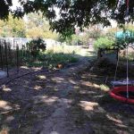 auswandern-ungarn-haus-gemuesegarten-nebengebaeude-in-kleinstadt-suedungarn-1.500qm-grundstueck