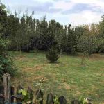 Ein Teil des Gartens