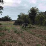 auswandern-ungarn-kleines-haus-grosses-grundstück-suedungarn-3600 qm