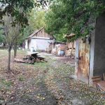 auswandern-ungarn-kleines-haus-grosses-grundstück-suedungarn-nebengebaeude